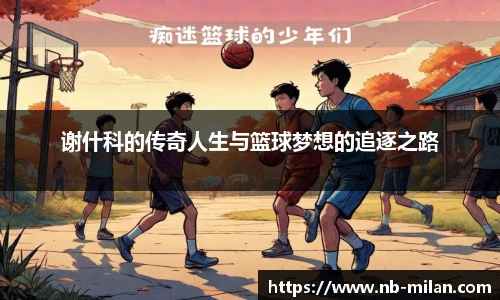 米兰体育官方网站入口