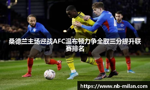 米兰体育官方网站入口