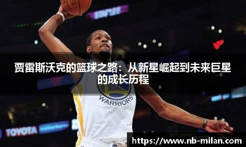 米兰体育官方网站入口